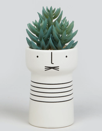 His Ceramic Face Plant Pot with Succulent | £8 at Matalan