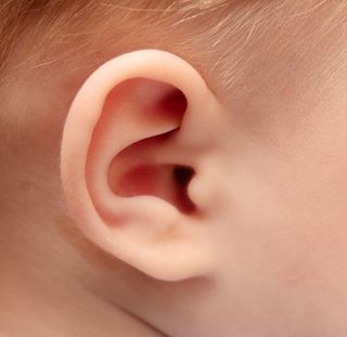 A child's ear