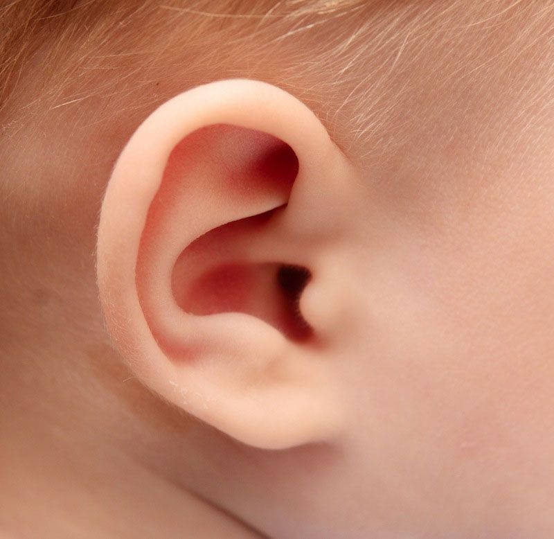 A child&#039;s ear