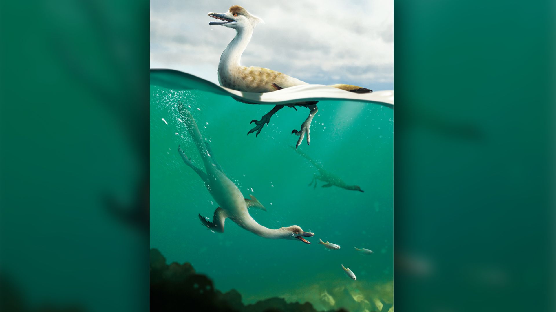 A New Species Of Dinosaur Might Have Dived Like A Duck To