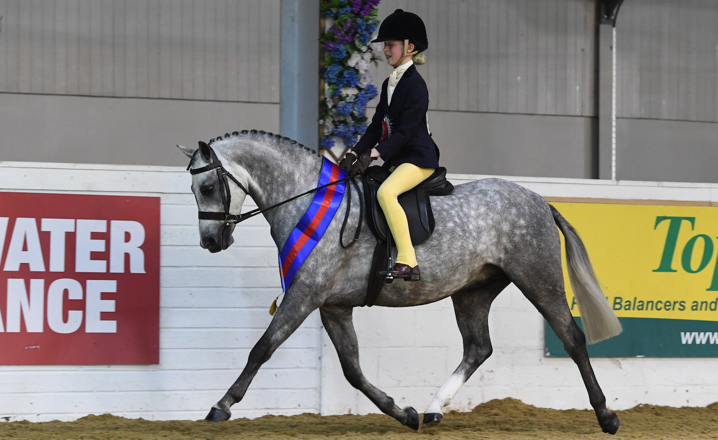 Use winter shows as training for plaited ponies