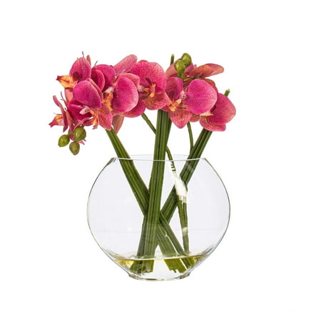 Vickerman 9.8" Artificial Pink Butterfly Orchid in Glass Pot.