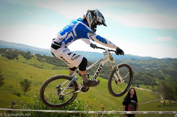 A Giant Racer flies over tall grass