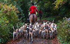 10-Dartmoor-Hunt073.jpg