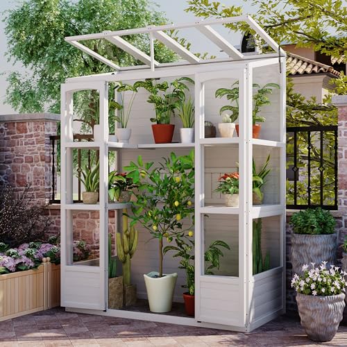 78-Inch Wooden Greenhouse Cold Frame With 4 Independent Skylights and 2 Folding Middle Shelves, Walk-In Outdoor Greenhouse
