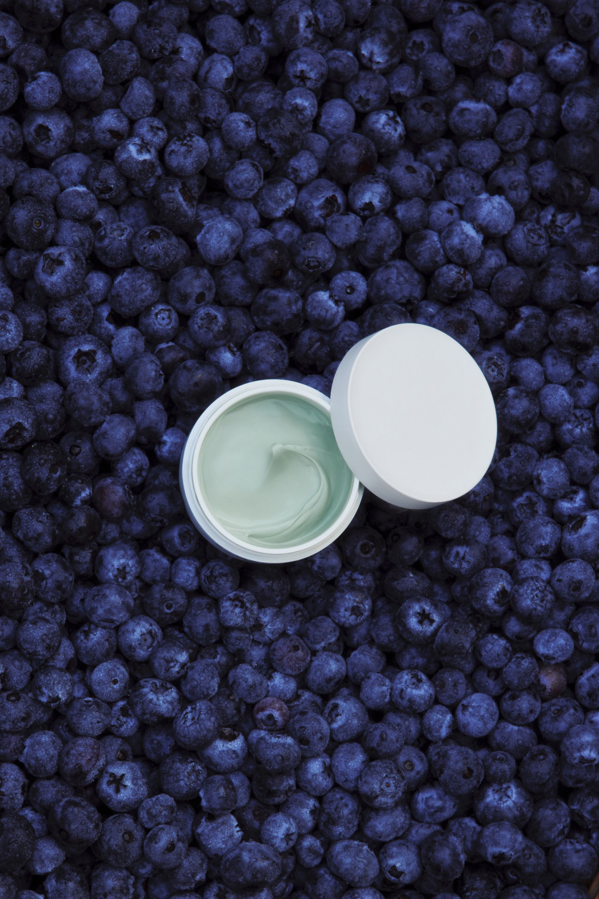 Photo of Sonsie's new Adapt Cream on a bed of blueberries