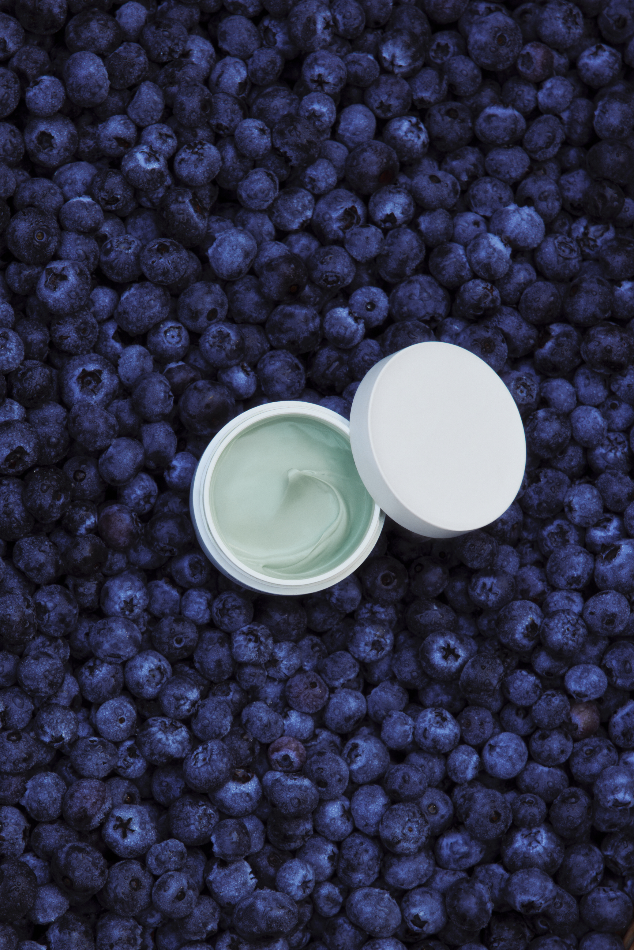 Sonsie&#039;s new Adapt Cream on a bed of blueberries.