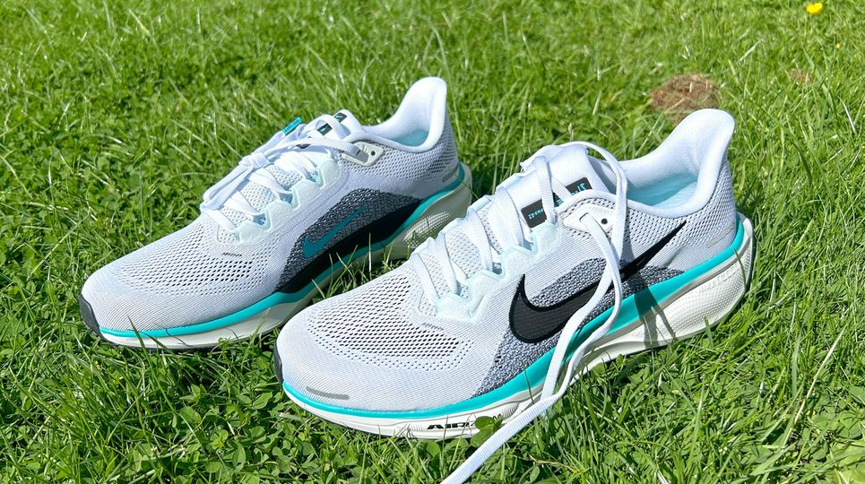 the Nike Pegasus 41 perched on some grass