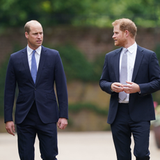 Prince William's future royal role as King 'hinges on Prince Harry'