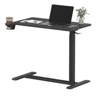 Flexispot mobile standing desk