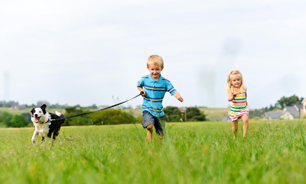 Scientists discover that natural, outdoor light reduces children&amp;#039;s risk of nearsightedness