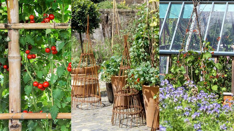 three vegetable garden trellis ideas