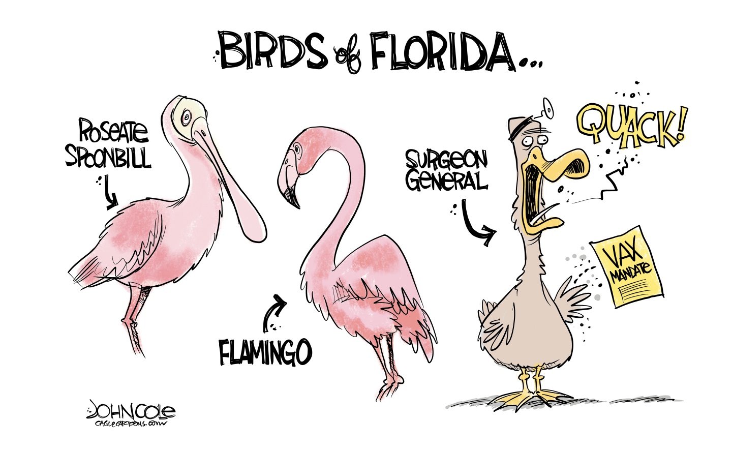 This cartoon is titled &amp;ldquo;Birds of Florida&amp;rdquo; and depicts three birds. The first two birds look normal and are labeled &amp;ldquo;Roseate Spoonbill&amp;rdquo; and &amp;ldquo;flamingo&amp;rdquo;. The third bird is a crazy-looking duck holding a piece of paper that reads &amp;ldquo;Vax Mandate&amp;rdquo;. This duck is labeled &amp;ldquo;Surgeon General&amp;rdquo; and says &amp;ldquo;Quack!&amp;rdquo;