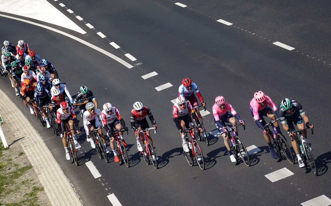 The 2019 Scheldeprijs