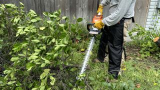 STIHL HSA 60 hedge trimmer trimming branches on fallen tree