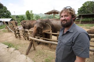 Paul's pals. Healthy elephants are happy elephants!