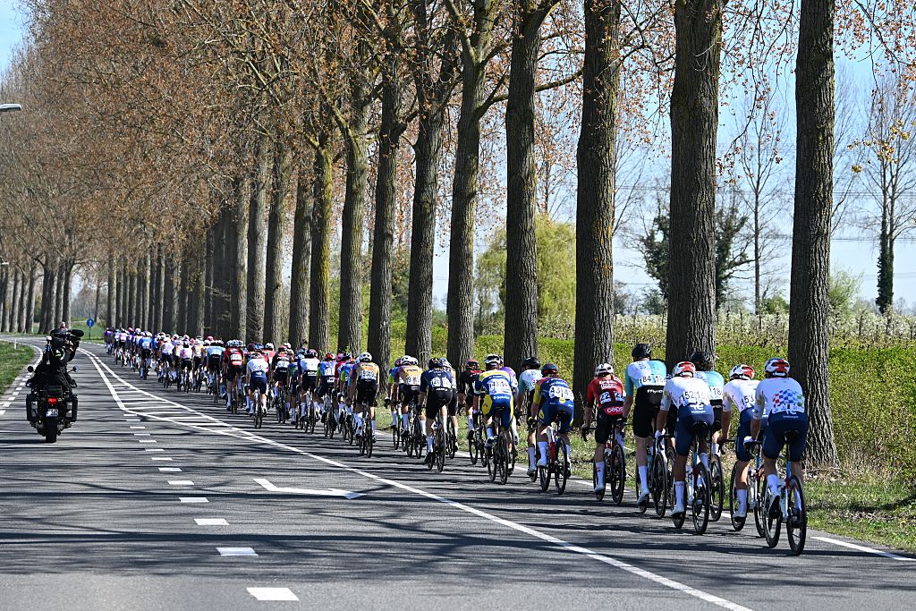 The men's Scheldeprijs peloton