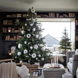 A living room with two Christmas trees and various books on shelves