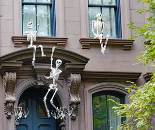 Halloween skeletons on windows