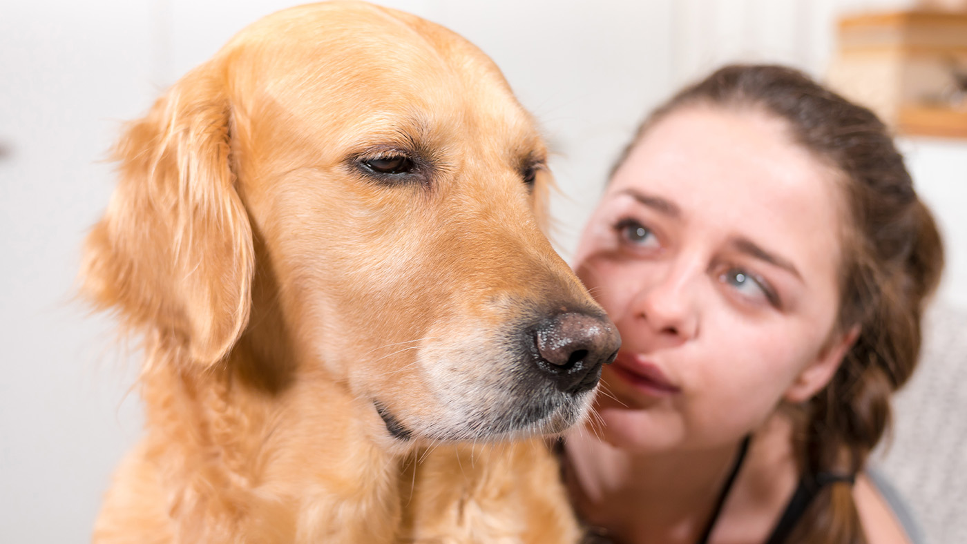 Owner looking at dog