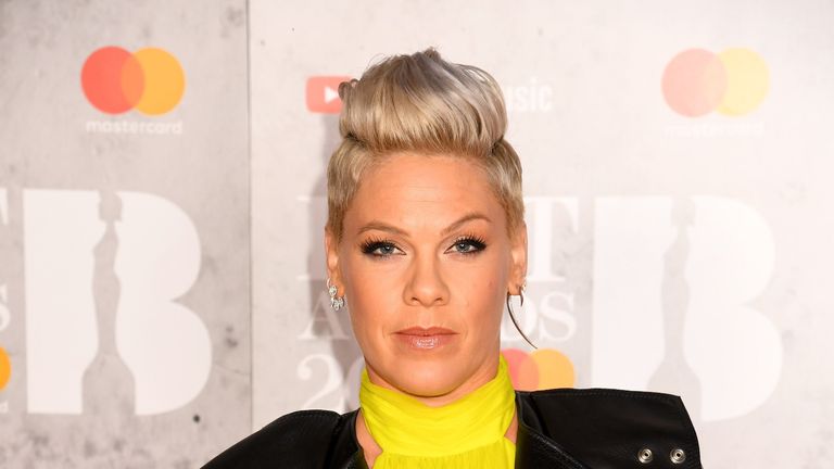 Pink has offered to help the Norwegian women's volleyball team after they were fined for refusing to wear bikini bottoms at a recent game