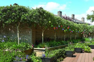 Tree lined decked area with lanterns in the trees, and potted plants on the deck