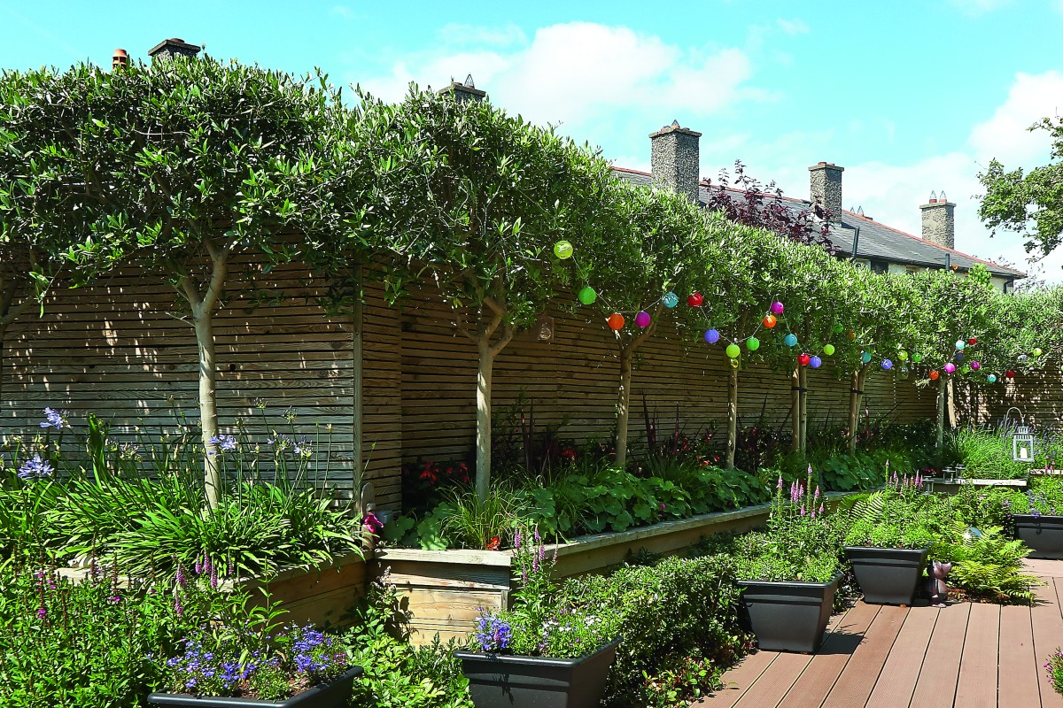 Tree lined decked area with lanterns