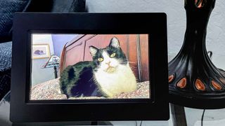 Feelcare 7 Inch Smart WiFi Digital Picture Frame review
