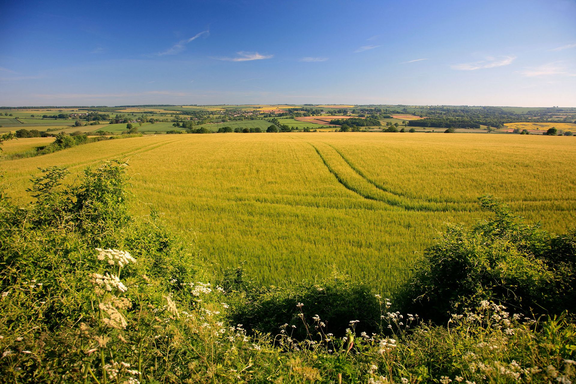 The landscape around Charlbury in Oxfordshire.