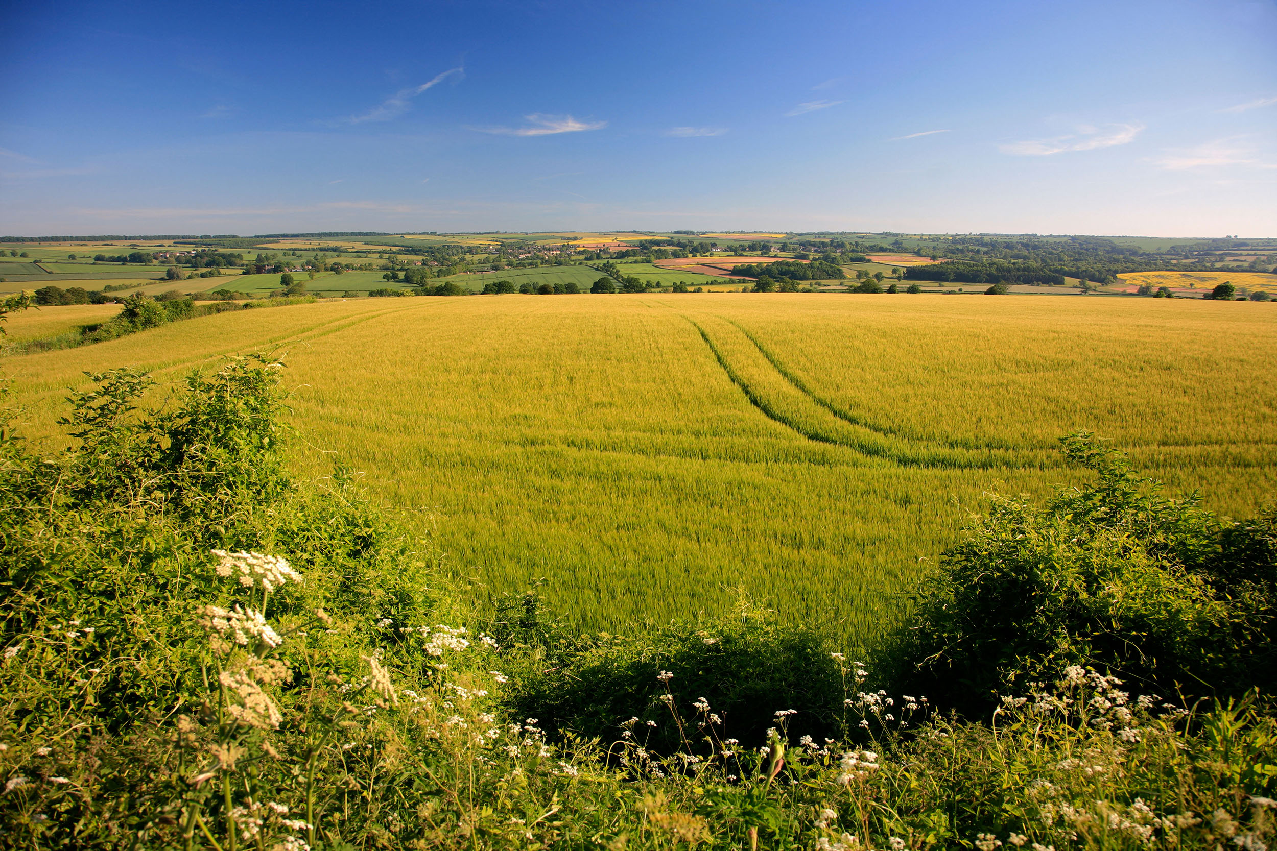 The landscape around Charlbury in Oxfordshire.