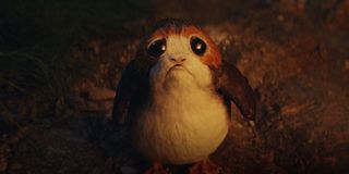 Porg in Star Wars: Rise of Skywalker