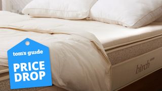 Birch Plush Organic Mattress Topper on a plush bed