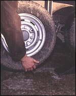 E09D9AC5-0FBC-41ED-B952-D510B0CAB336.jpg