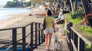 Walking in hot weather: woman walking with her dog near the beach in summer