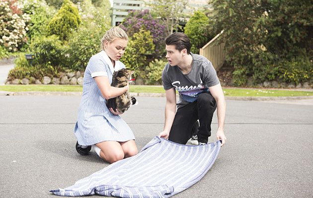 Poisoned! Piper&#039;s cat Clementine is attacked by Adrian Snyder in Neighbours