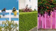 three different types of fence ideas, including a white picket fence, a hedge and pink slats