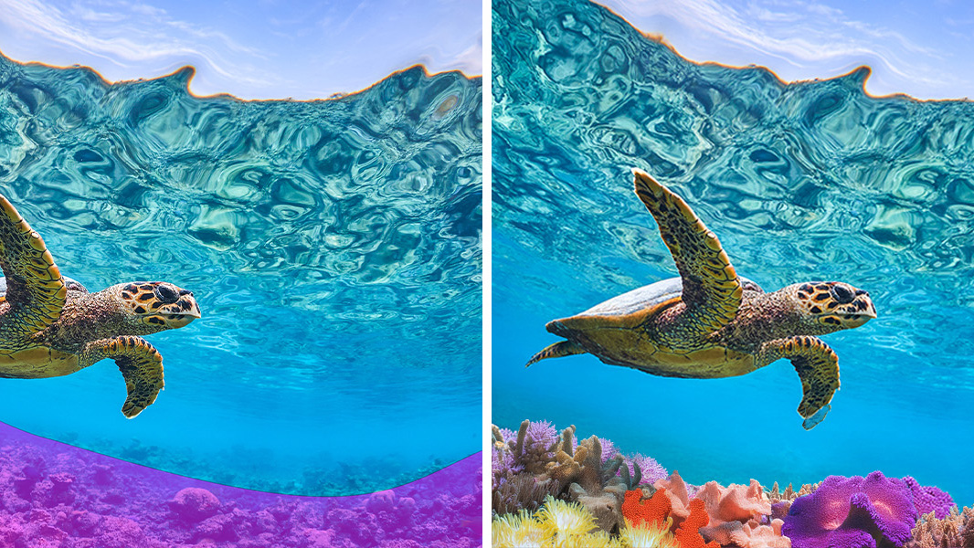 A before and after of new editing tools inside Adobe Photoshop Elements 2026