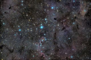 IC 1396, the Elephant's Trunk Nebula