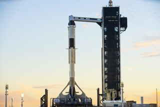 SpaceX's Crew Dragon Endurance and its Falcon 9 rocket stand atop Pad 39A at NASA's Kennedy Space Center in Cape Canaveral, Florida. The launch has been delayed to Nov. 3, 2021.