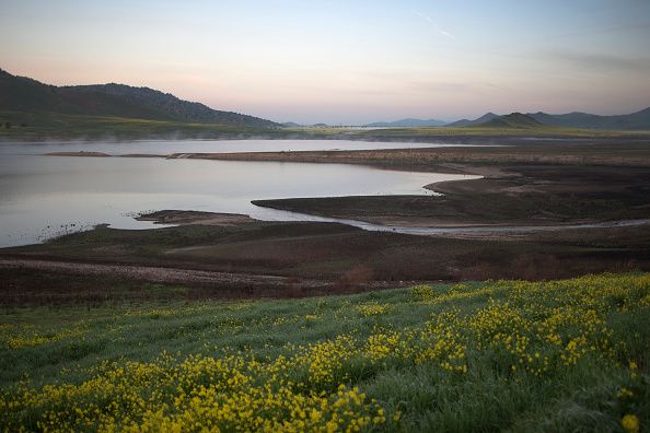 The low waters of Lake Success.