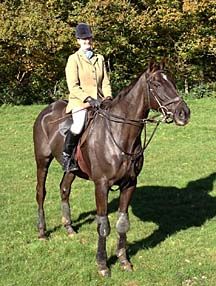 Denman-hunting.jpeg