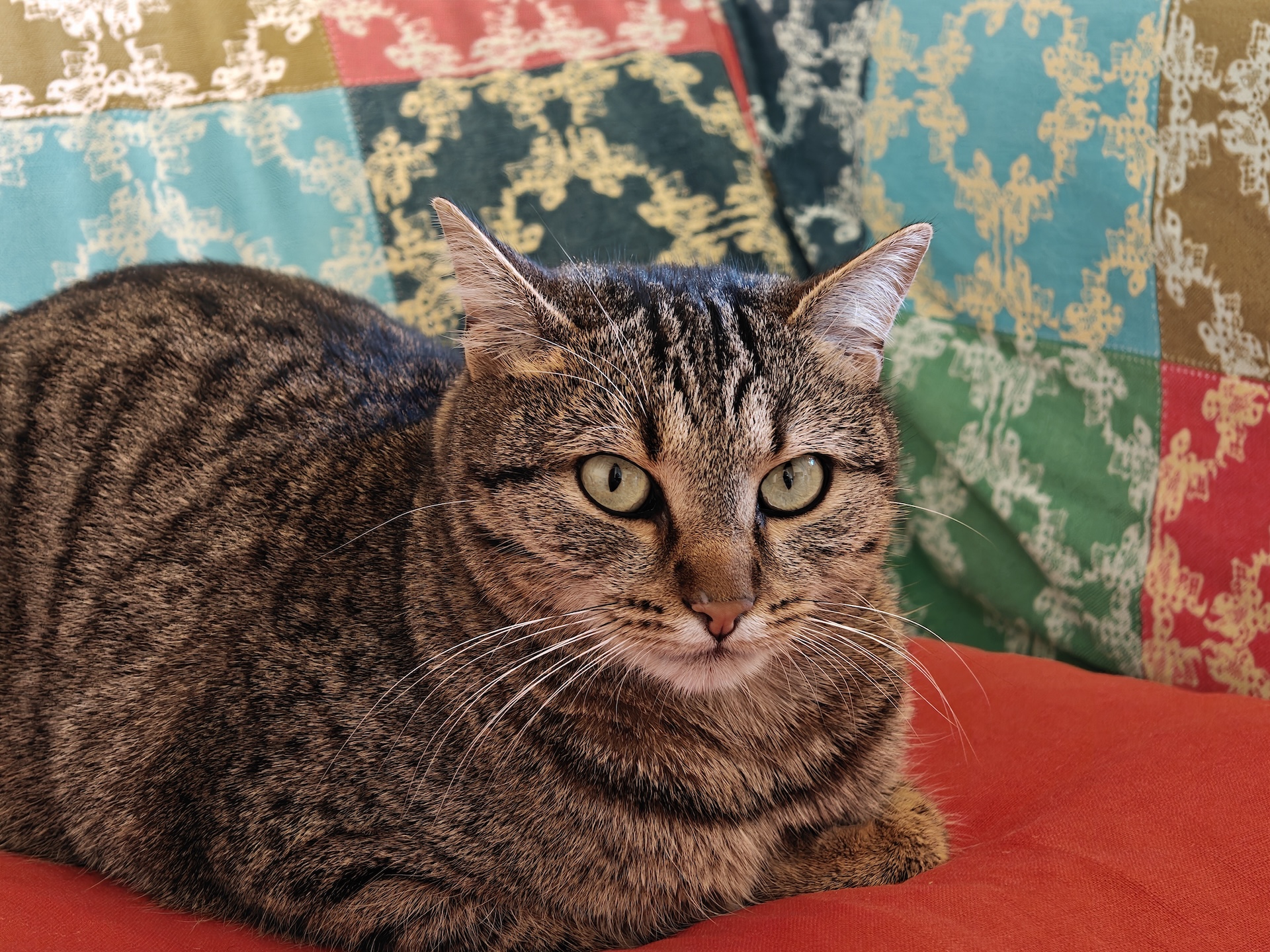 realme GT8 Dream Edition