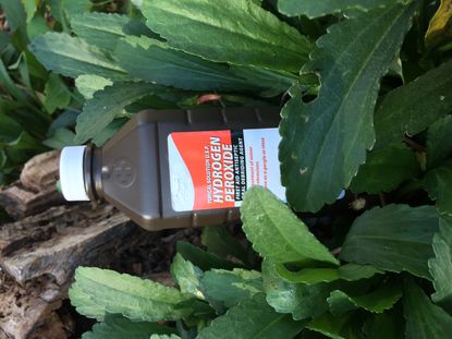 Bottle Of Hydrogen Peroxide In Plants