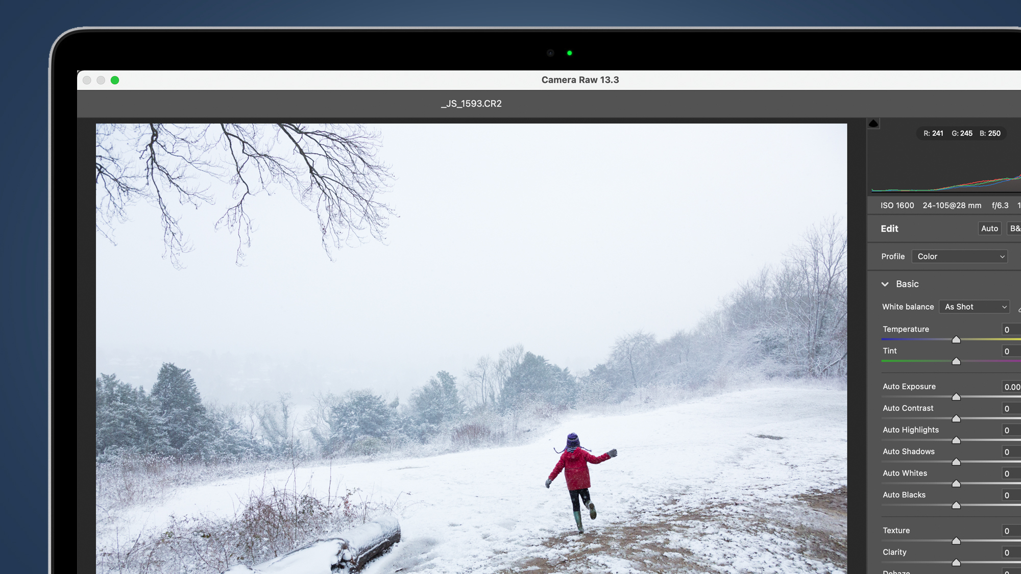 Screenshot showing Photoshop's Adobe Camera Raw plug-in