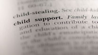 Back Taxes, Child Support and Other Debts