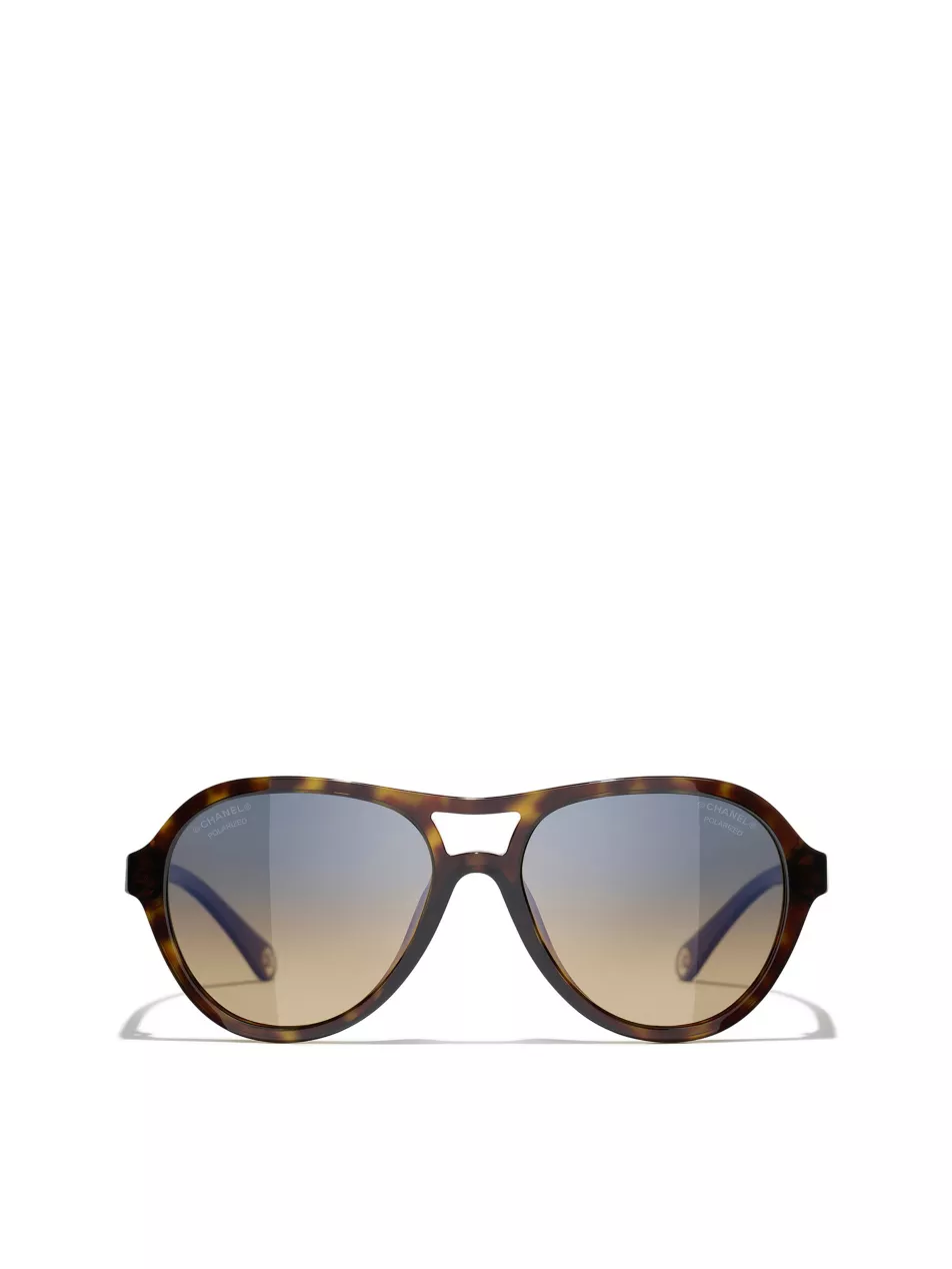 Ch5552u Pilot-Frame Acetate Sunglasses