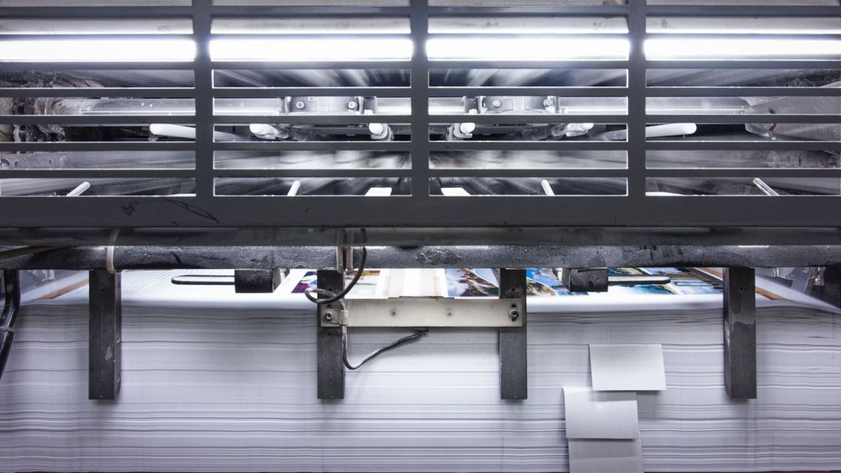 Canva wants to make printing your designs easier with new HP partnership - Vimarsana News