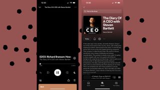 Diary of a CEO podcast