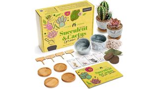 best cactus growing kit