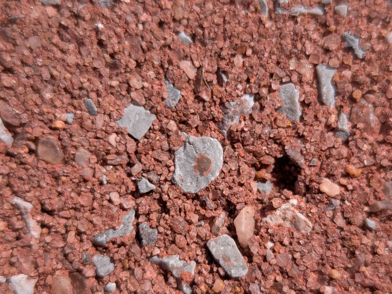 Google Pixel 9a macro sample.